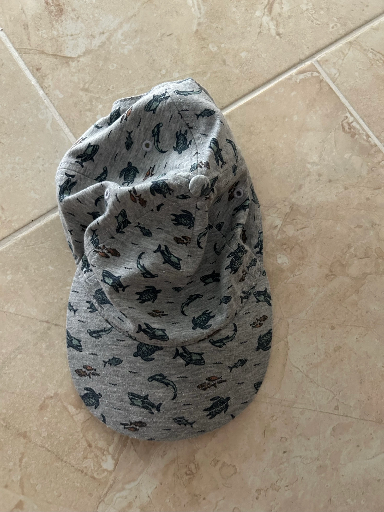 Casquette grise dinosaures Kiabi 51cm